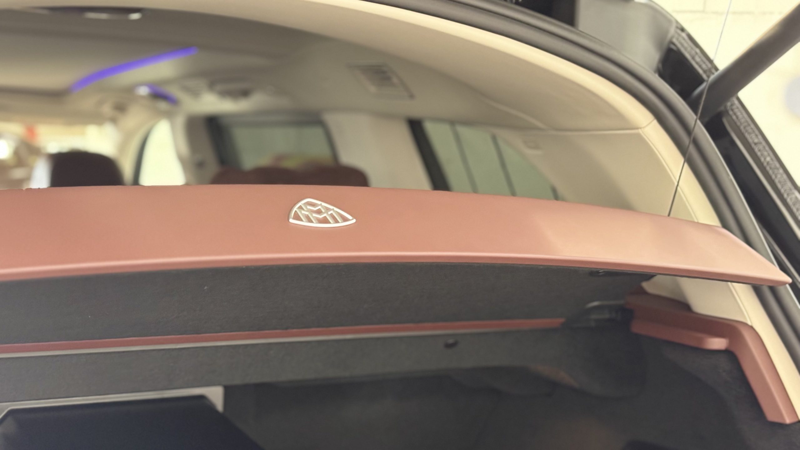 GLS MAYBACH 600 (42)